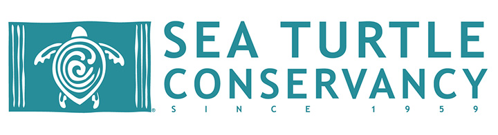 Sea Turtle Conservancy Charity