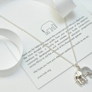 Raising money for elephants